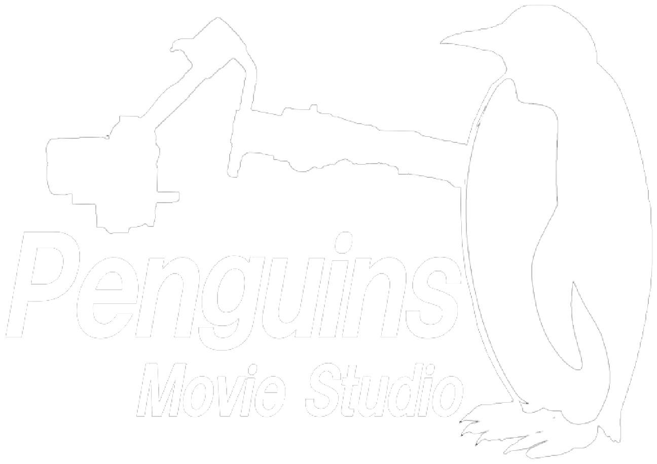 牛久市や龍ヶ崎でYouTubeなどの動画制作なら『Penguins Movie Studio』